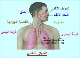 التنفس by kousaychiwa - Ourboox.com