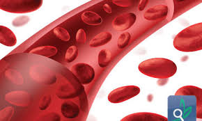 الدم by ademelir - Ourboox.com