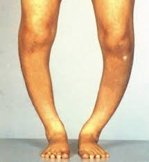 fatma marzouki by fatma marzouki - Ourboox.com