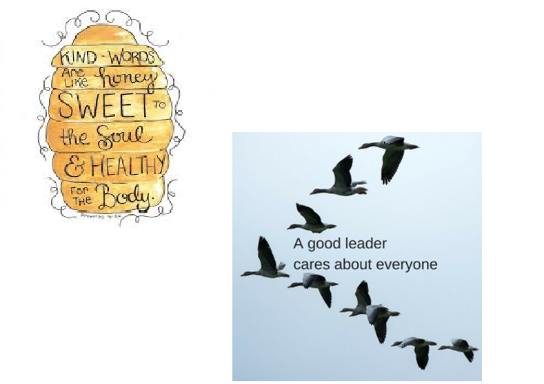 My “New Teacher” Biography by Riki Bar-Kochva - Ourboox.com