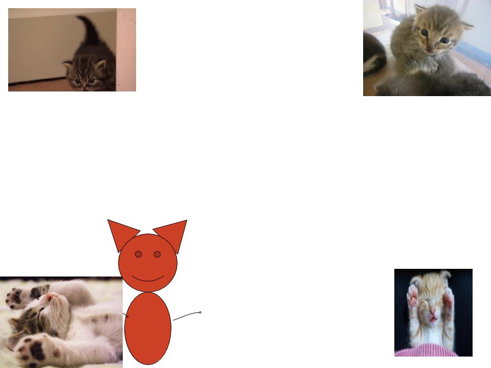 Sasha’s Poetry Book by Sasha Emma gonzalez - Ourboox.com