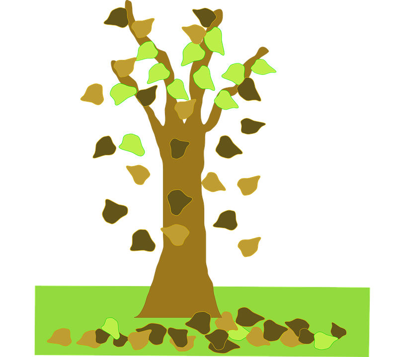 My Tree by Zorit Neeman - Ourboox.com