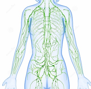 Quell’anno, facendo Scienze… by Alessandro Bettini - Illustrated by Christian Bernardi - Ourboox.com