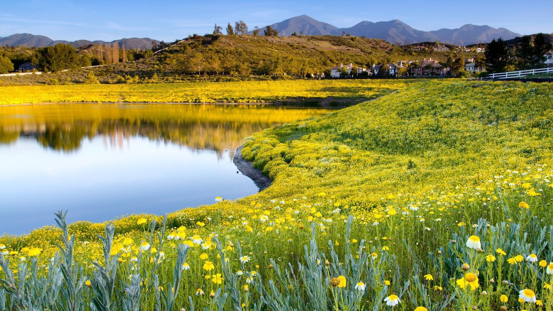 test by boshra saab - Ourboox.com