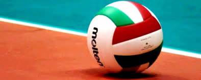 Cavalli e Pallavolo by Alice - Illustrated by ULIZ - Ourboox.com