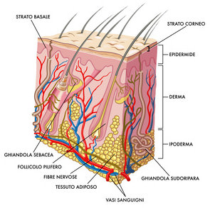 SCIENZE NATURALI DI STORIE SCIENTIFICHE by Annalisa - Ourboox.com