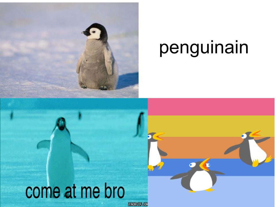 Riley’s Book by Riley.Grant - Ourboox.com