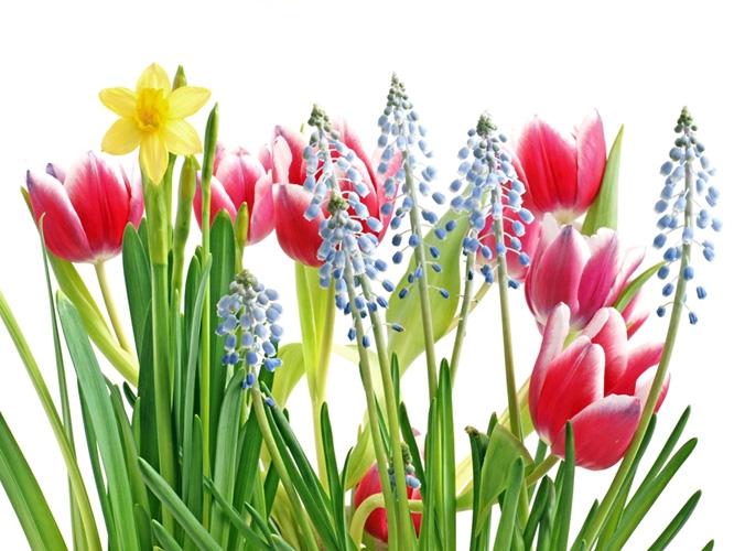 אימא אמרה לי – הרדוף הנחלים by noniiiiiiii - Ourboox.com