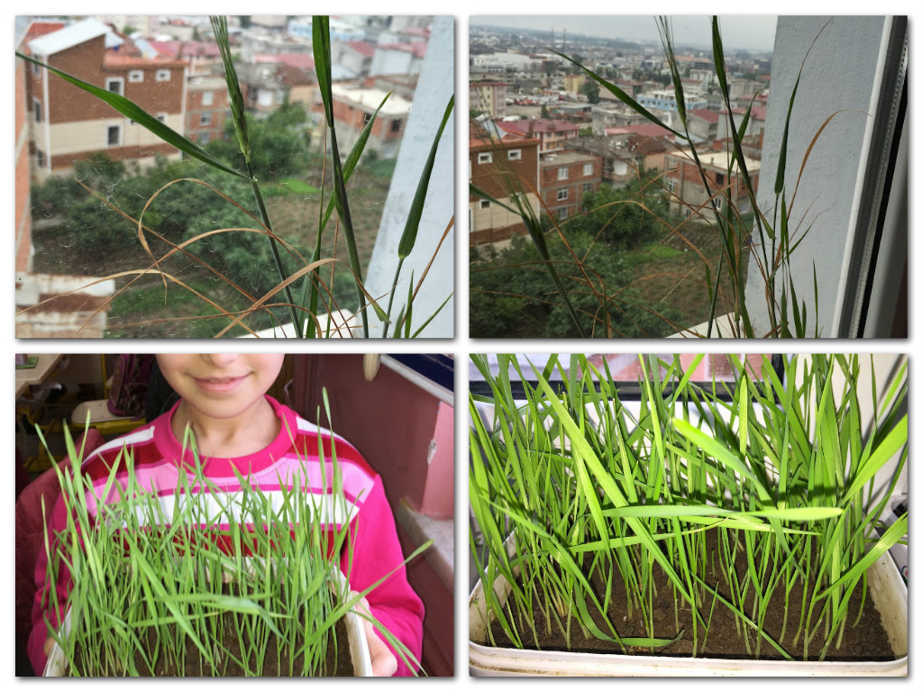 Welcome Spring Reflections by Belgin Tunç - Ourboox.com