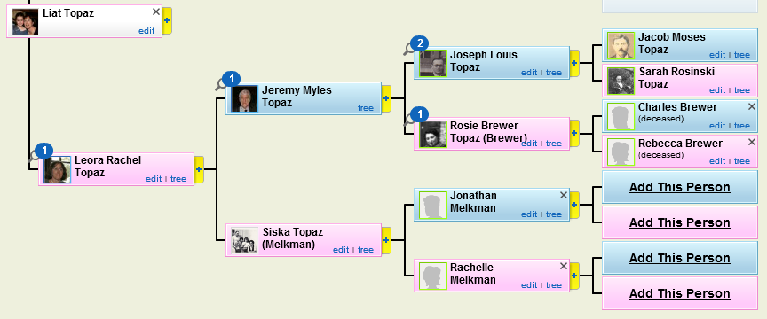 עבודת השורשים של משפחת טופז by Liat Topaz - Illustrated by ליאת טופז - Ourboox.com