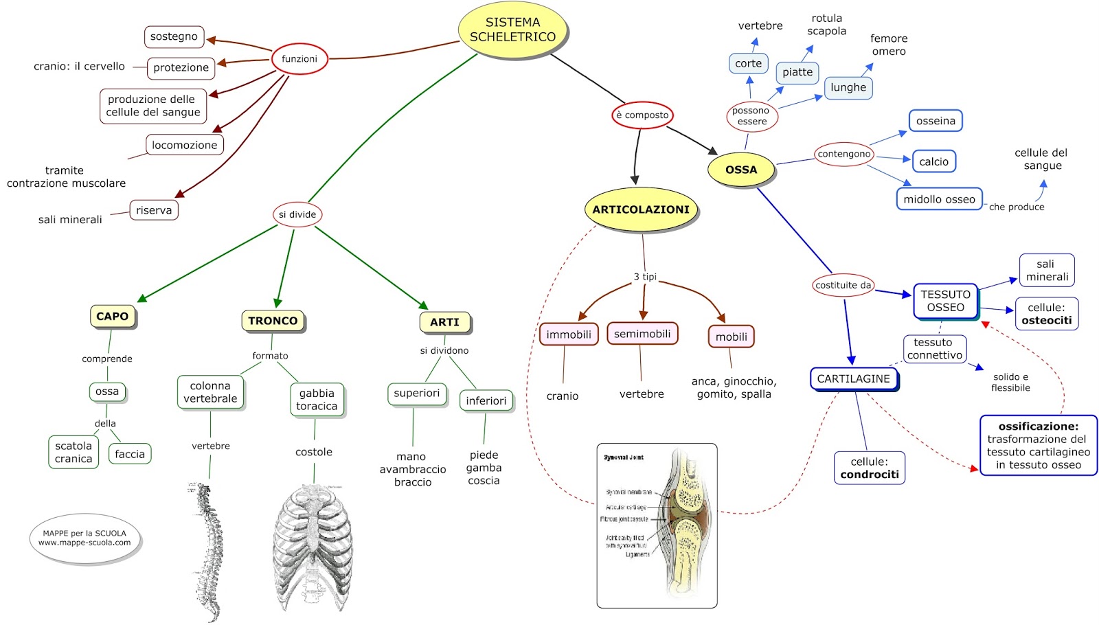 SCIENZE NATURALI DI STORIE SCIENTIFICHE by Annalisa - Ourboox.com