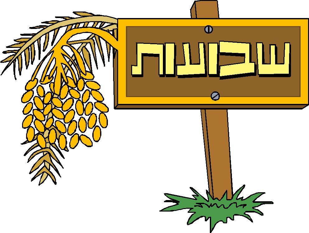 שבועות by roei - Ourboox.com