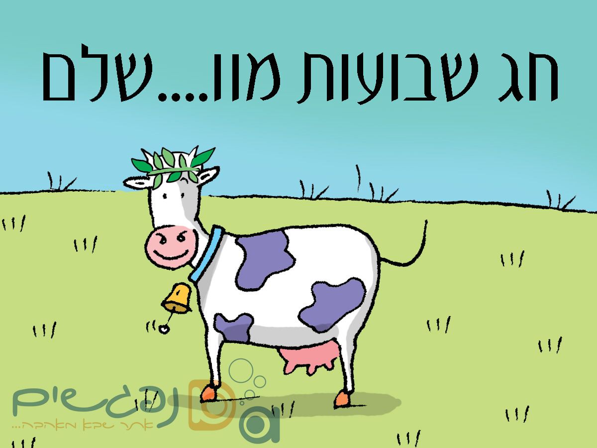שבועות by yahli - Ourboox.com