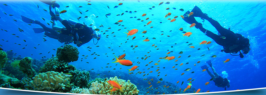 My Summer Vacation by XpSuper - Ourboox.com