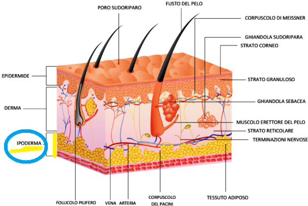 Quell’anno, facendo Scienze… by Alessandro Bettini - Illustrated by Christian Bernardi - Ourboox.com