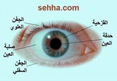 تركيبة العين by yassin nasir - Ourboox.com