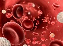 الدم by yassine - Ourboox.com