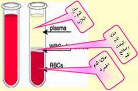 الدم by yassine - Ourboox.com