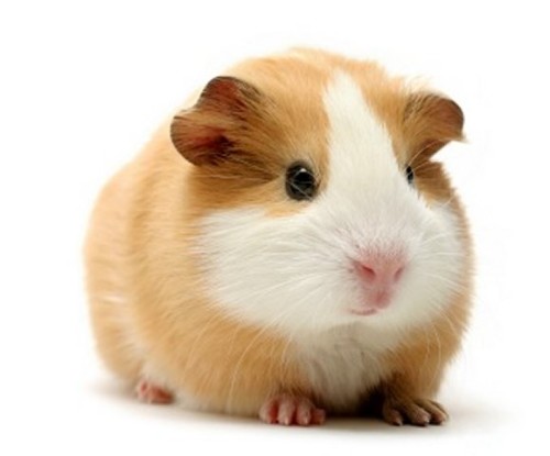 הסיפור של דריה ואליאב ב’1 by amir - Ourboox.com