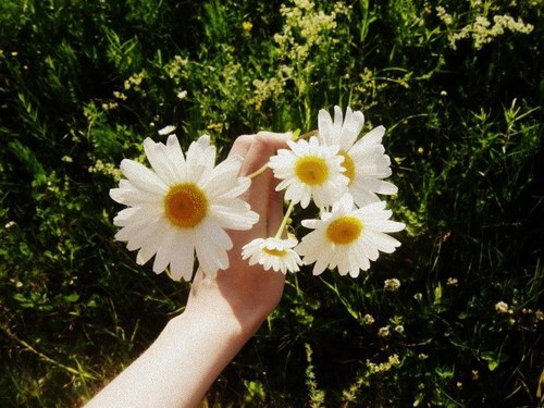 save the word-khazneh hossin by save - Ourboox.com