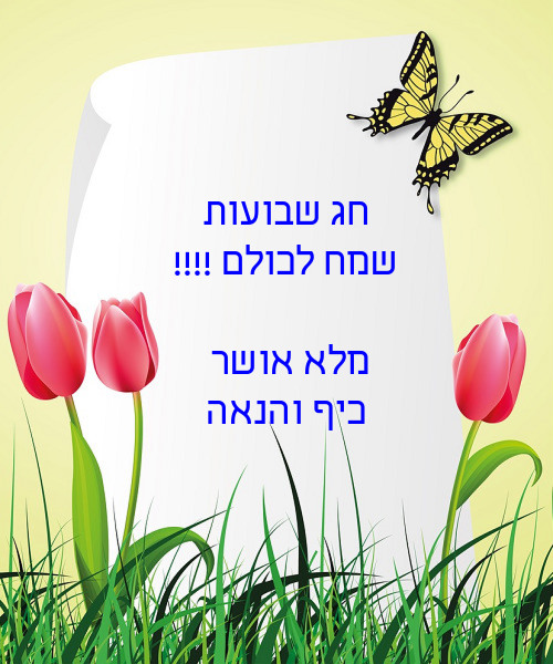 שבועות by manor - Ourboox.com