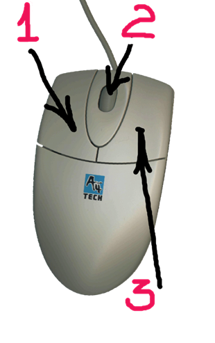 Основные устройства ввода информации by Елена Рапчинская - Ourboox.com