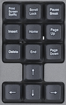 Основные устройства ввода информации by Елена Рапчинская - Ourboox.com