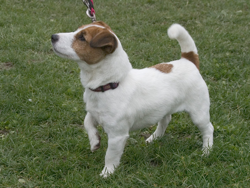 King Henry by hayley and ariel - Ourboox.com