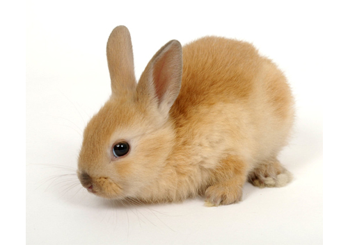 ליאת ז. אחיות by avital - Ourboox.com