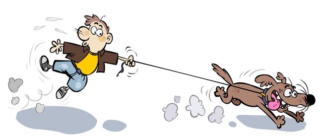 לפתע השתחרר הוא מן הרצועה וברח.