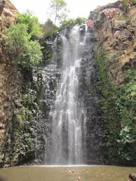 טיול שנתי לרמת הגולן by lior mizrahi - Ourboox.com