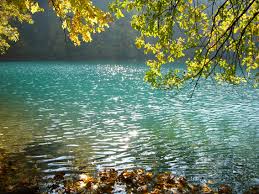 :) הרפתקאותיה של רונית בארץ הדמיון by Ronit Mizrah - Illustrated by תלמידי ו'1 - Ourboox.com