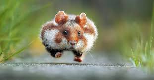 EMOTION GLASSES by daniel - Illustrated by Daniel - Ourboox.com