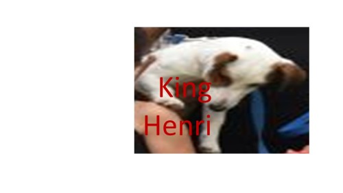 King Henry by hayley and ariel - Ourboox.com