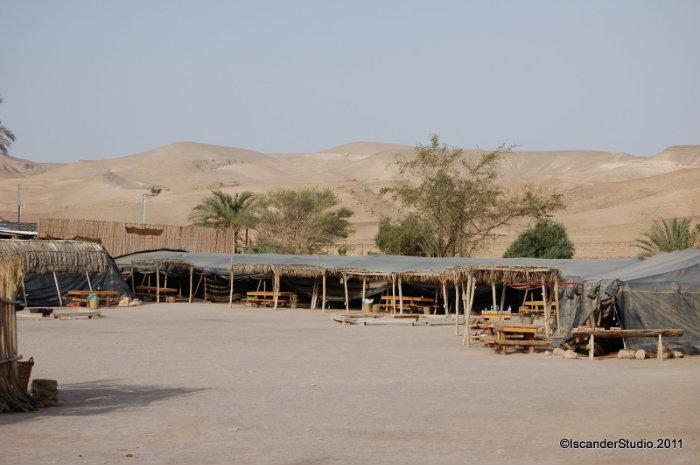 מדבר יהודה- הידעת? by liron fridberg - Illustrated by מחברות: מיה המר, יובל צנעני ולירון פרידברג - Ourboox.com