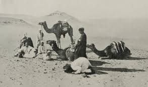 המדריך לתייר.. by ariel harari - Illustrated by ענבר לשם ואריאל הררי - Ourboox.com