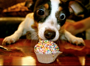 King Henry by hayley and ariel - Ourboox.com