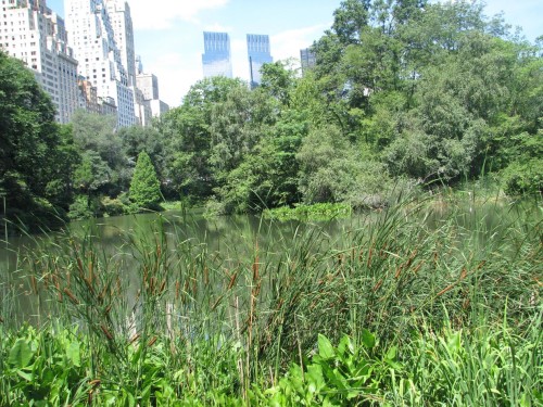 צילומי טבע by shaked rika - Ourboox.com