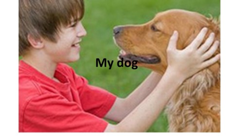 my dog by yahlywe - Ourboox.com