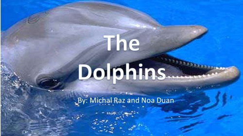 The Dolphins by Noa Duan and Michal Raz - Ourboox.com