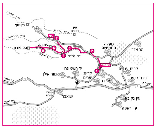 טיול שנתי לירושלים והרי יהודה by kesem - Illustrated by קסם אבסטדו ואורטל מלסה - Ourboox.com