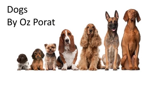 Dogs by Oz Porat - Ourboox.com