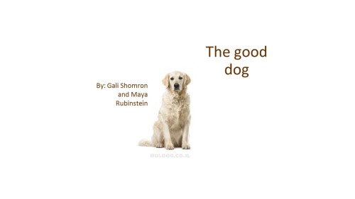 the good dog by Gali Shommron - Ourboox.com