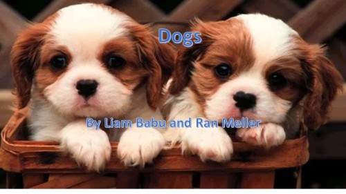 Dogs by Ran and Liam - Ourboox.com