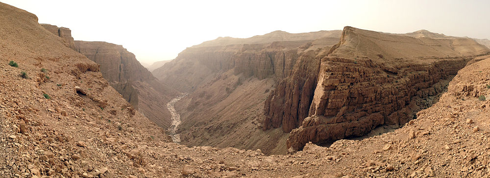 מדבר יהודה- הידעת? by liron fridberg - Illustrated by מחברות: מיה המר, יובל צנעני ולירון פרידברג - Ourboox.com