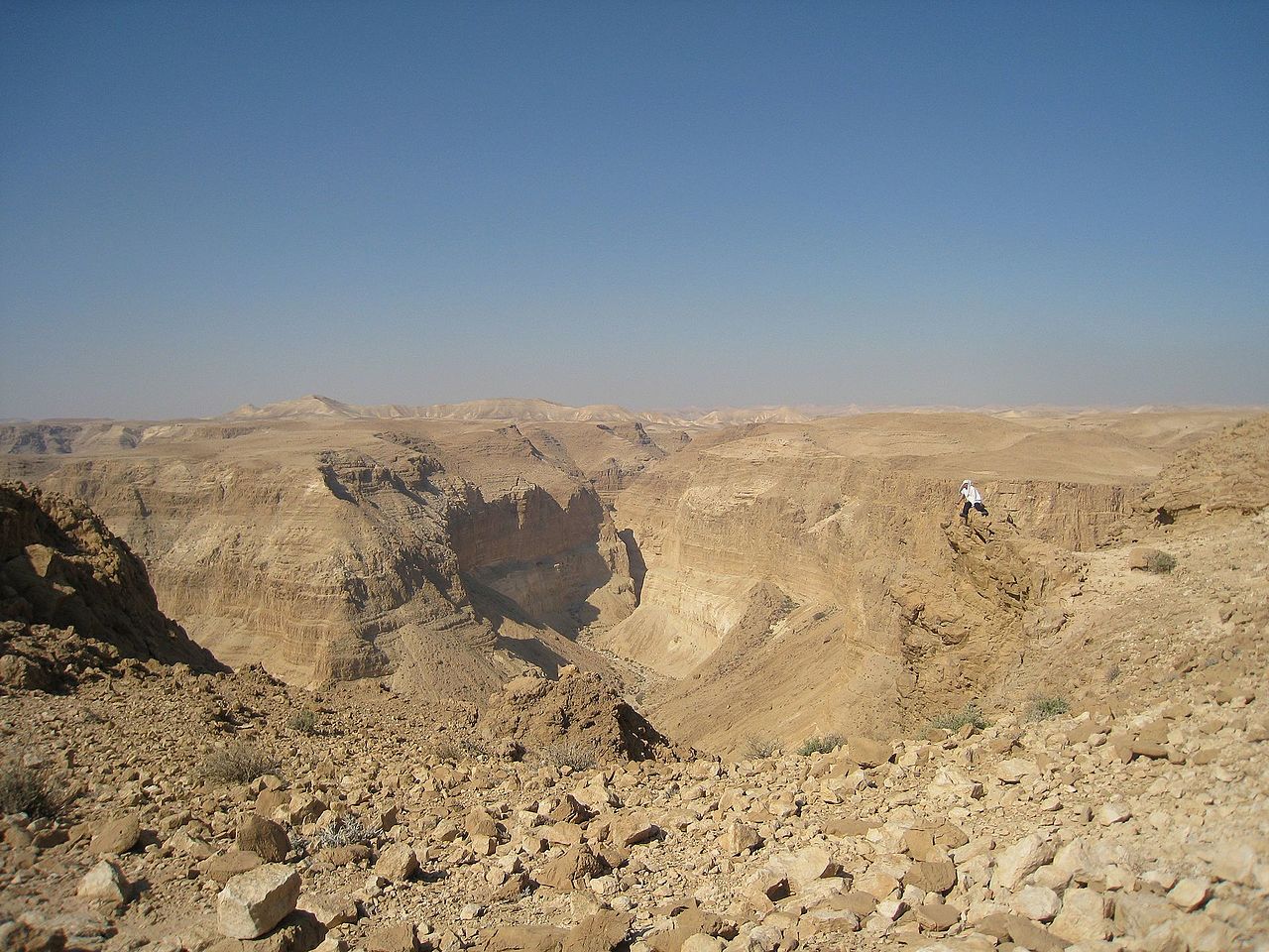 מדבר יהודה- הידעת? by liron fridberg - Illustrated by מחברות: מיה המר, יובל צנעני ולירון פרידברג - Ourboox.com