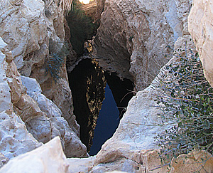 טיול לאילת by nofar cohen - Illustrated by נופר ושירן - Ourboox.com