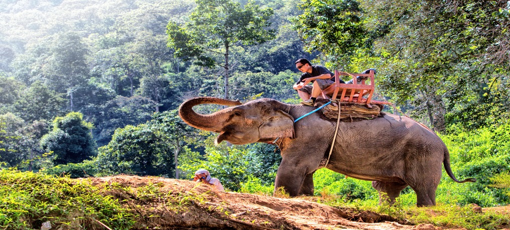 My Summer Vacation by ayelet kaminitz - Ourboox.com