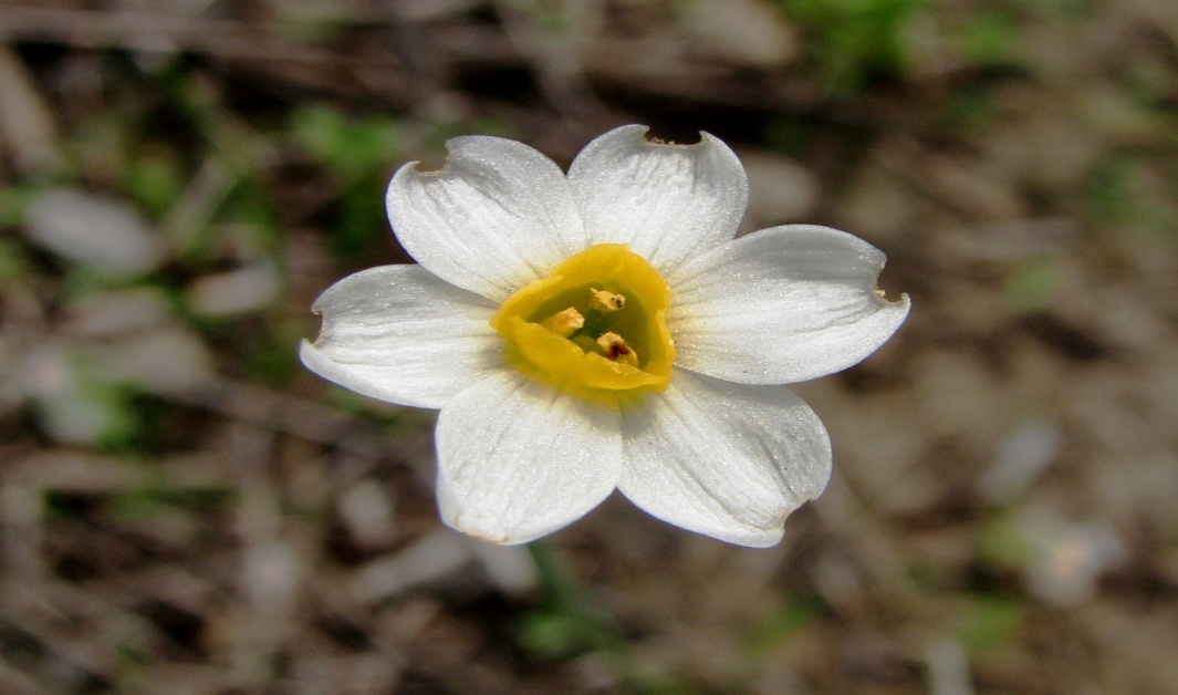 צילומי טבע by shaked rika - Ourboox.com