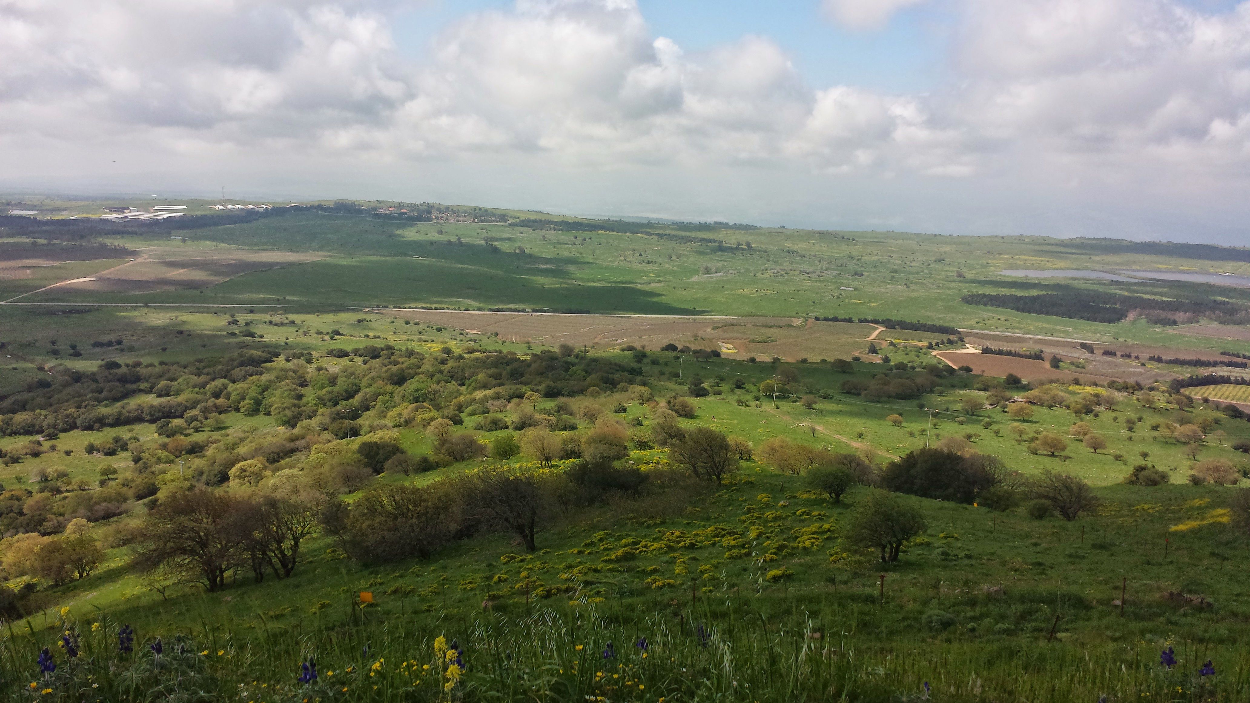 טיול שנתי שכבה י”א לרמת הגולן by eden ben shabat - Illustrated by מורי השכבה - Ourboox.com